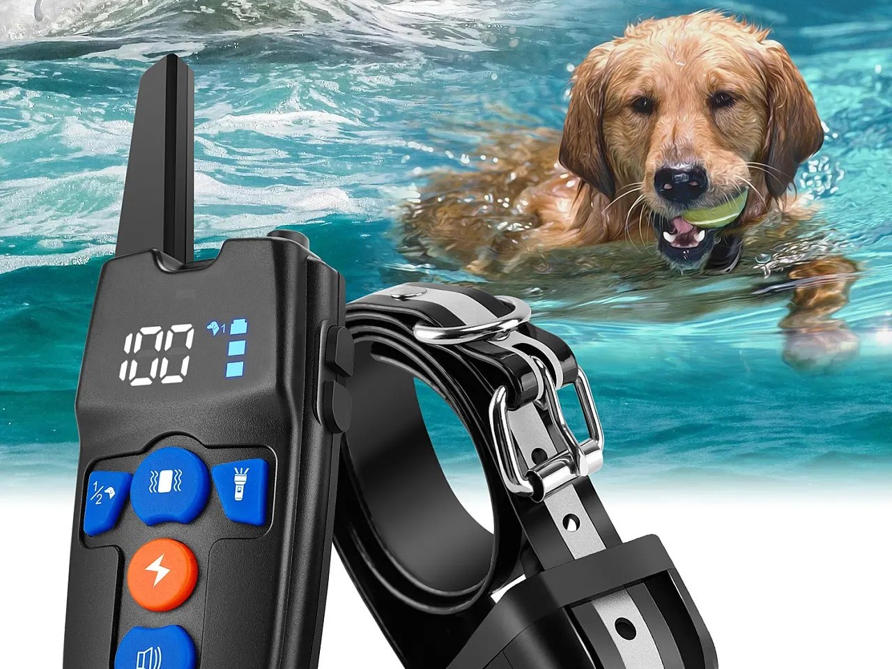 訓狗器要辦理防爆合格證嗎？